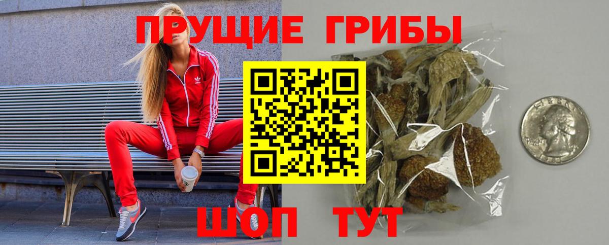 Псилоцибиновые грибы MAGIC MUSHROOMS  Вход с VPN  Наро-Фоминск 